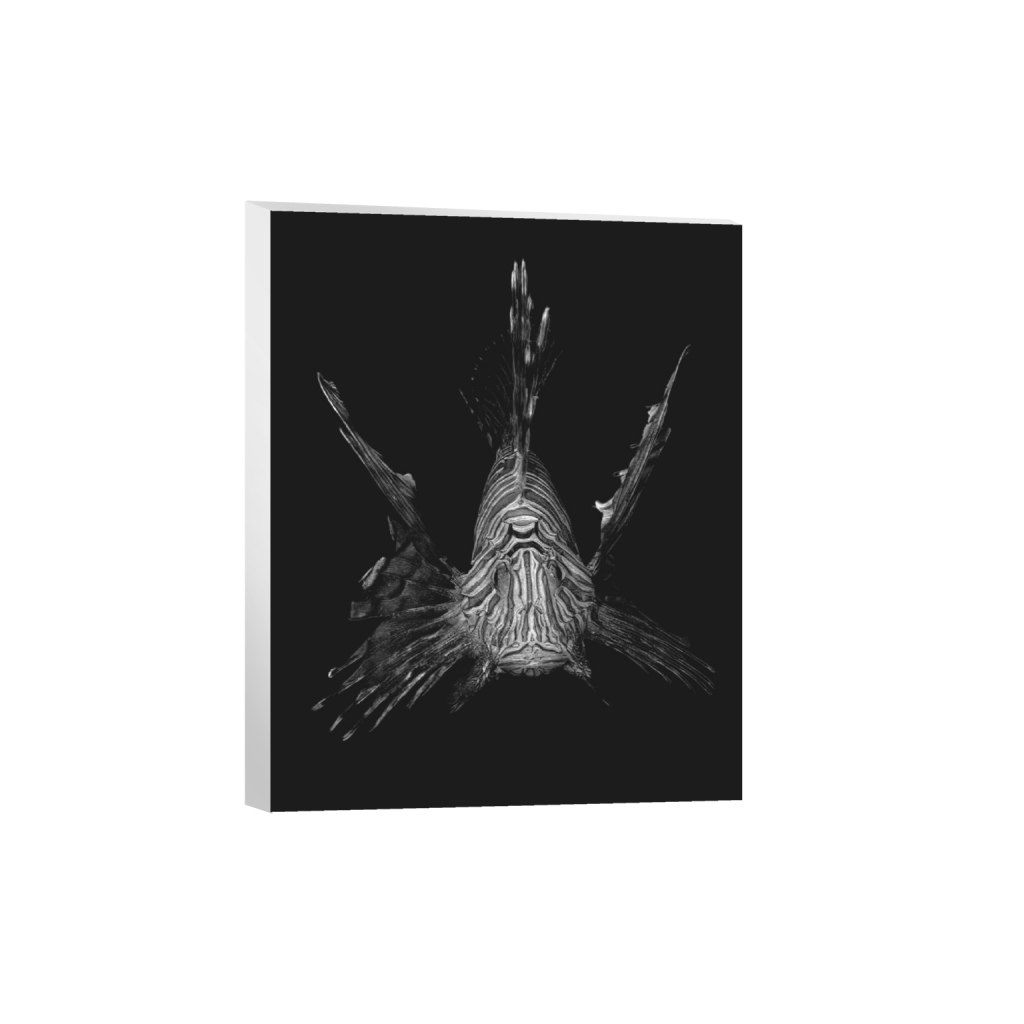 ptq_7_6_1_0_8007_10009_0_false_ffffff_0_0_.png