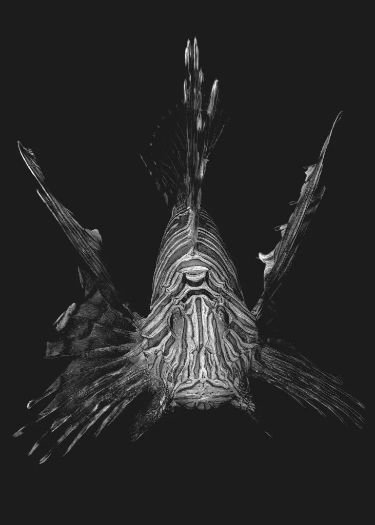 ptq_7_7_430_0_7149_10009_0_false_ffffff_0_0_.png