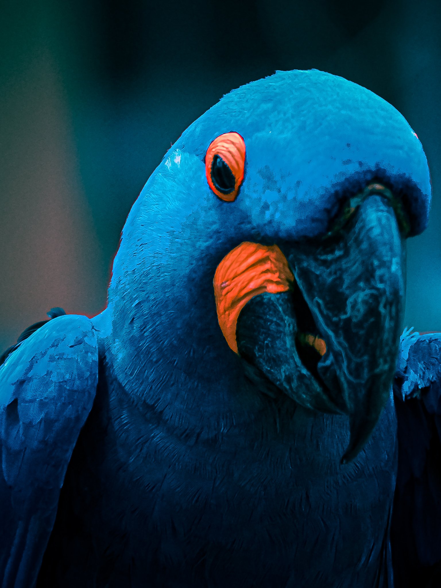 JCStudios_20130529_0150.jpg
