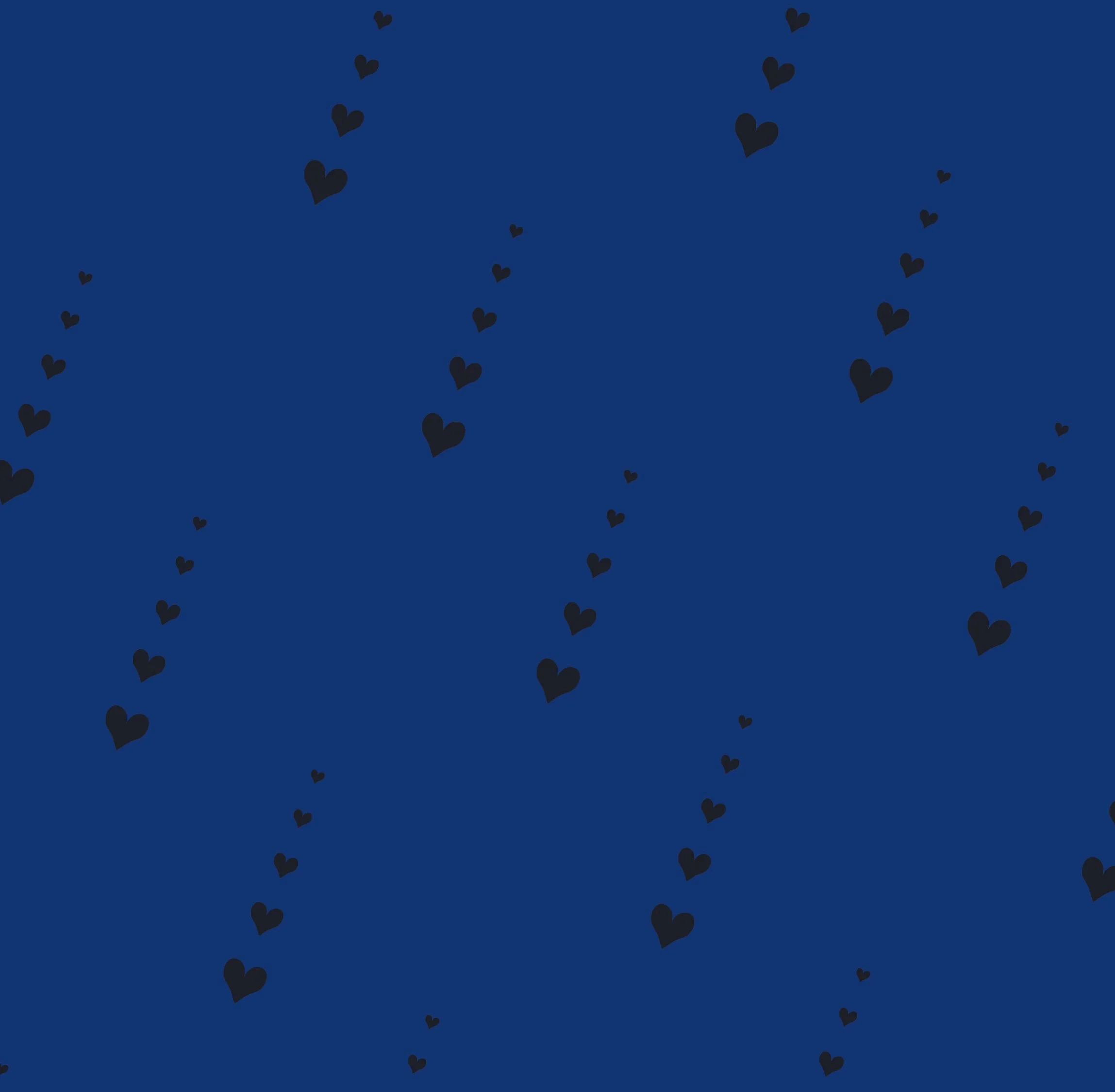 Pattern I used for the patterned portrait of the young  woman