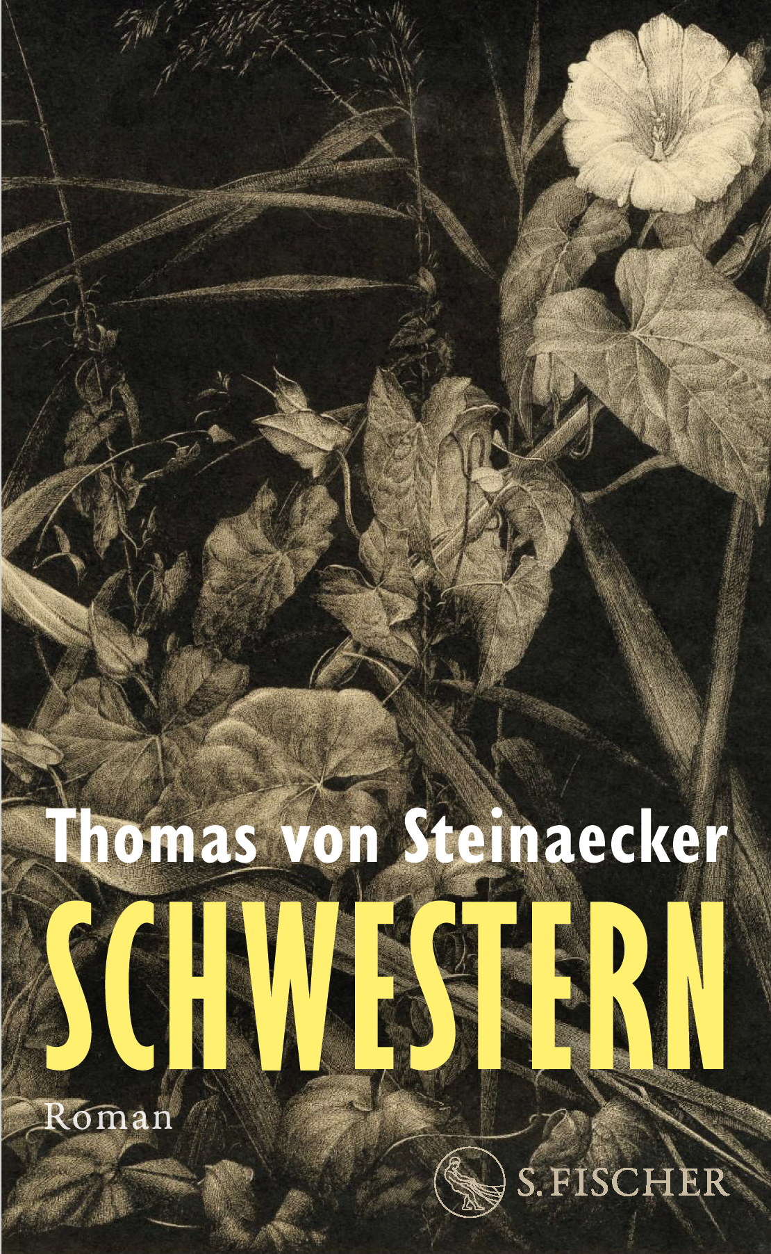 Cover design for Thomas von Steinaecker, Schwestern, S. Fischer