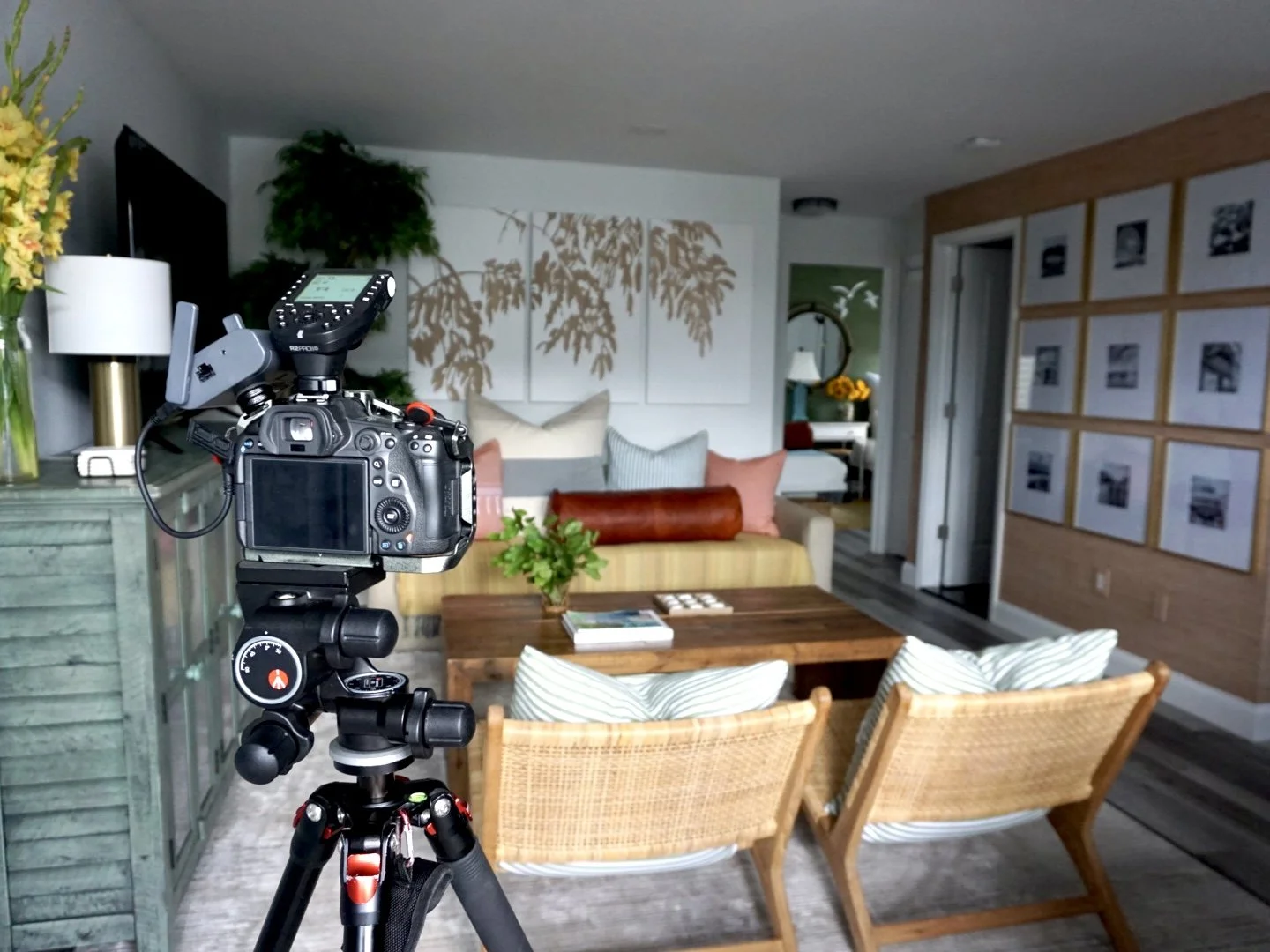 Seaside Park -- LR BTS.jpg