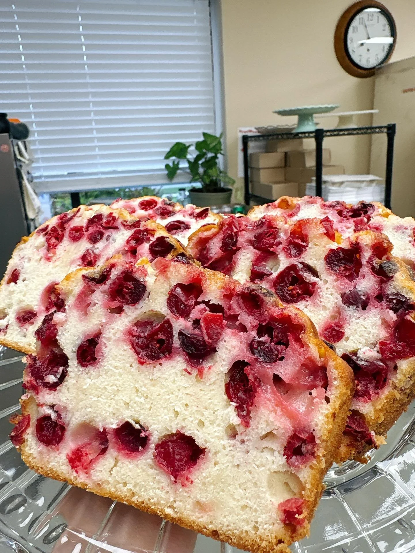 It&rsquo;s ✨CRANBERRY✨ time!! We are open tomorrow Tuesday November 11th for Veterans Day! We will be closed Wednesday November 12th. Come grab a slice of housemade cranberry bread today😋