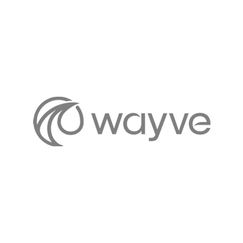 VM_Wayve.png
