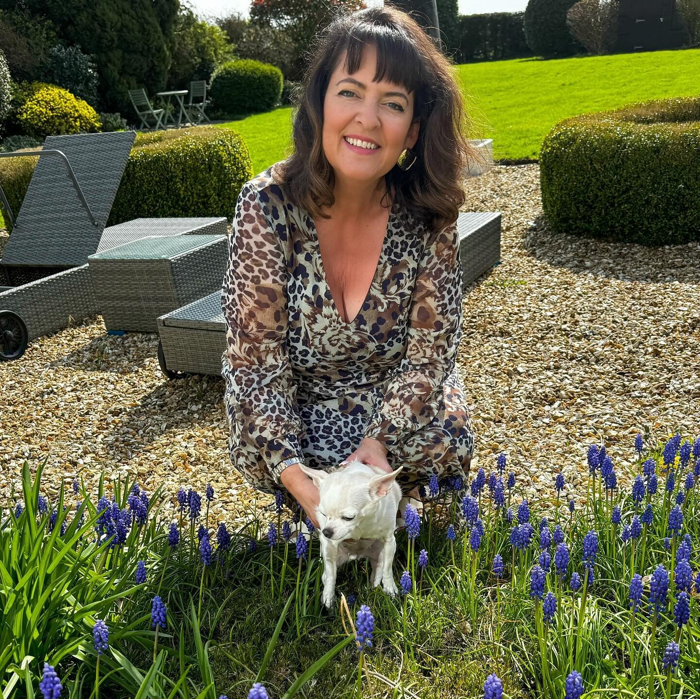 Hope you all have a fabulous Easter weekend, however you celebrate!  Love Kim &amp; Marilyn 🐾 x

#klslater #klslaterauthor #nottingham #chihuahuasofinstagram #easter