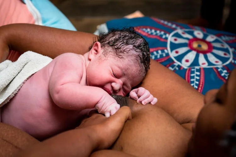 Newborn baby having his first taste of breastmilk soon after being born at home in Ottawa with midwives.