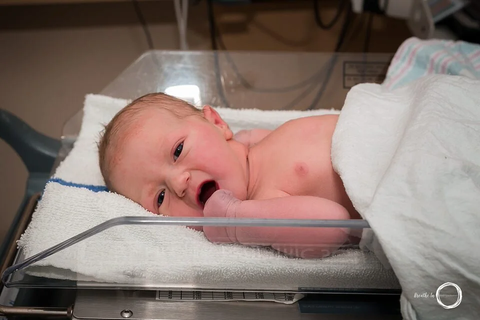 Newborn baby on scale at Montfort Hospital. She is looking right at the camera and has her hand near her mouth.