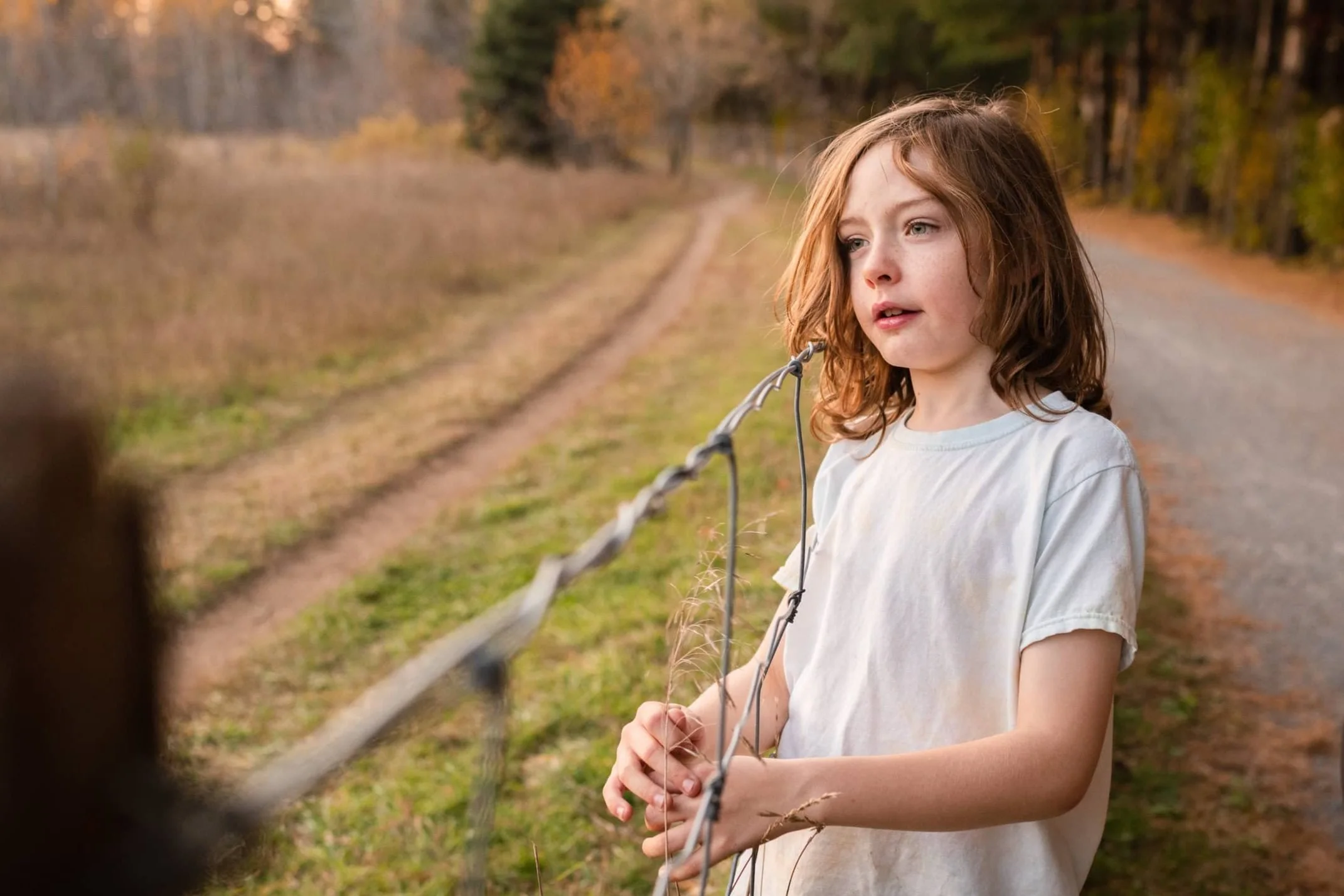 Boy with long red-brown hair and blue eyes looking into a feild as the sun is setting at dog park in Ottawa.