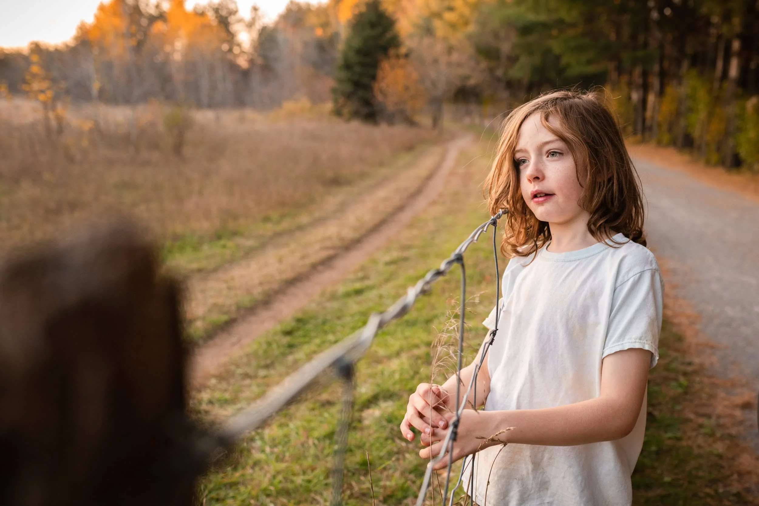 Boy with blue eyes and brown hair looking over the fence at dogs at Bruce Pit in Ottawa.