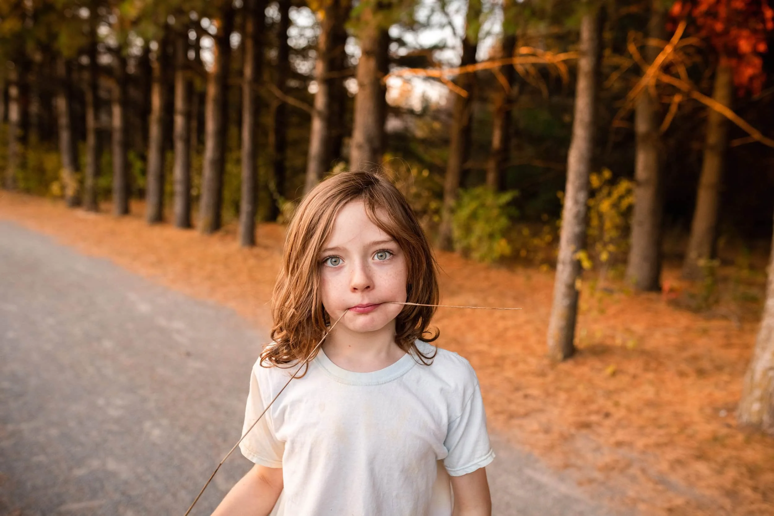 Boy with blue eyes and long brown hair with grass in his mouth looking at the camera. He is on a trail near Bruce Pit.