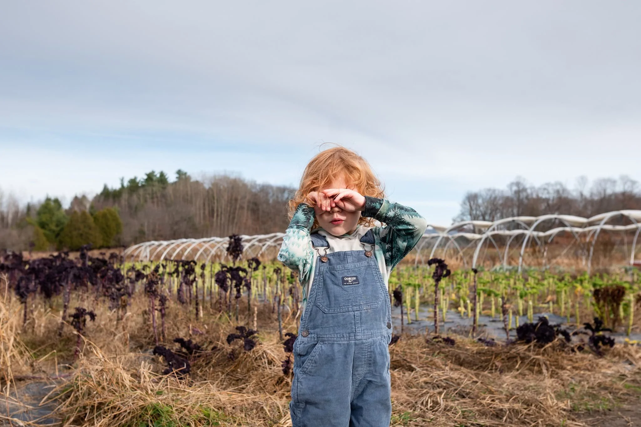 Little toddler with red hair and blue overalls at Juniper Farm in Wakefield, Quebec. He is surrounded by kale.