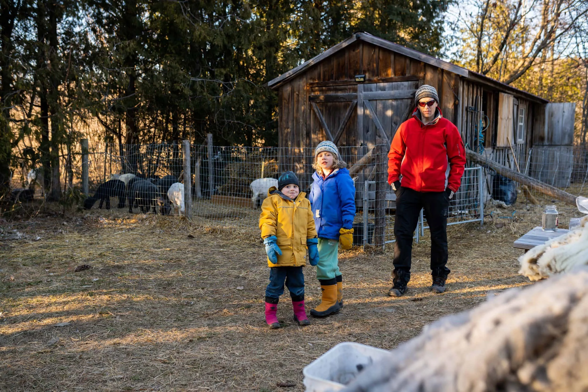 A man and two children dressed in outdoor winter clothing with hats, gloves, and boots on a farm, standing in front of a fenced area with goats and sheep, near a wooden shed surrounded by trees.