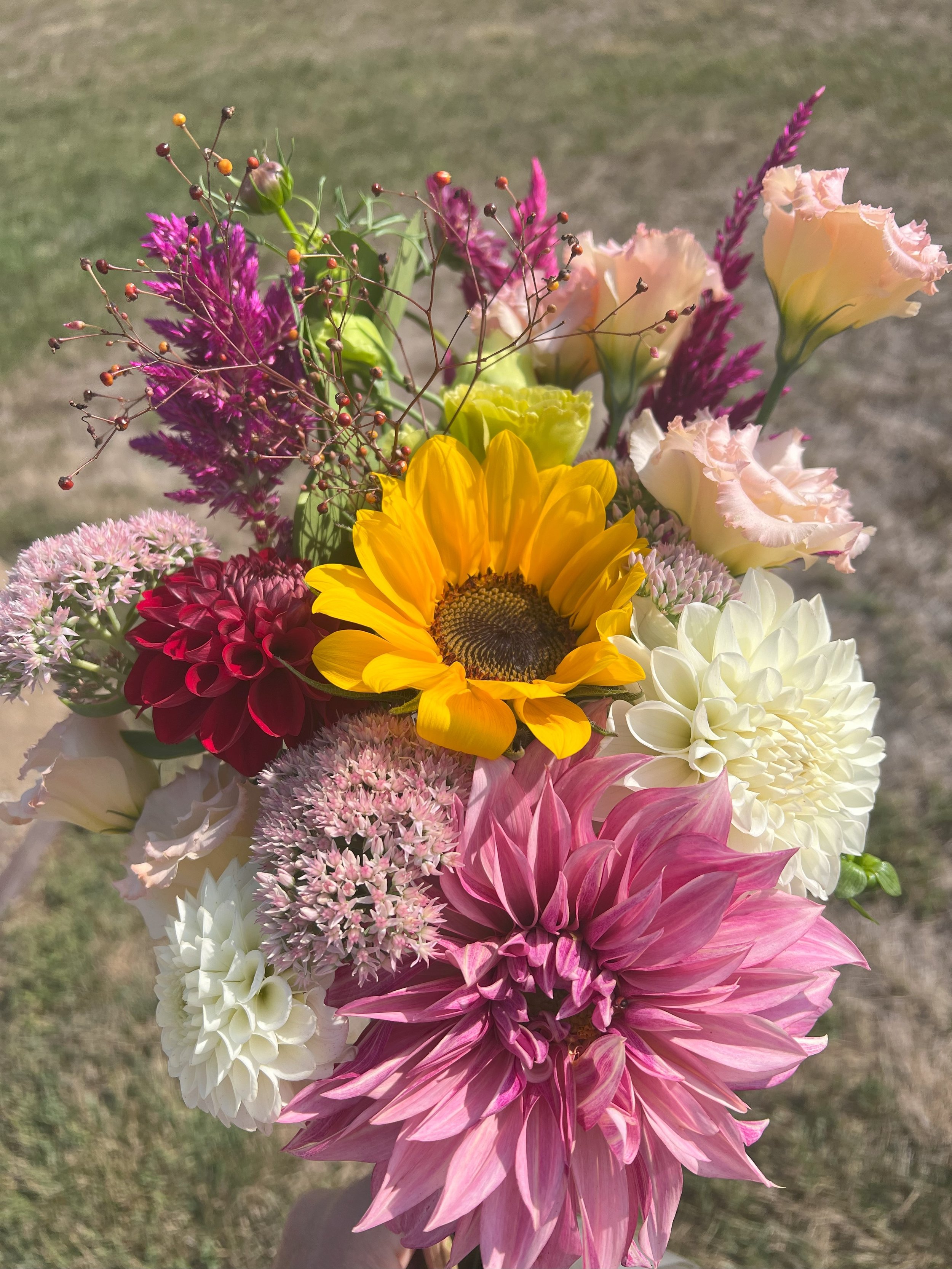 dahlia bouquet.jpeg