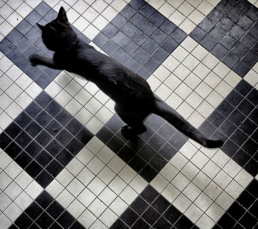 Screenshot 2022-10-19 at 1.27.49 PM.png