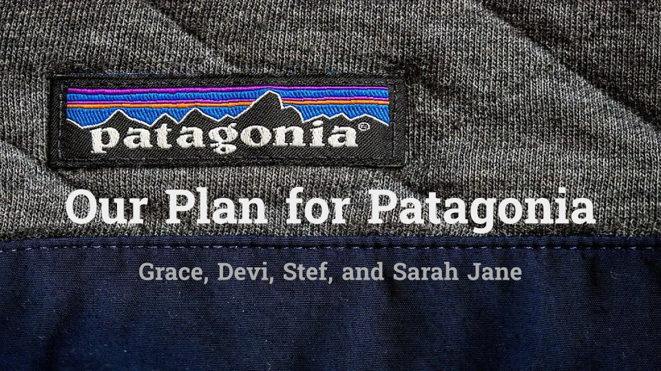 patagonia presentation.png