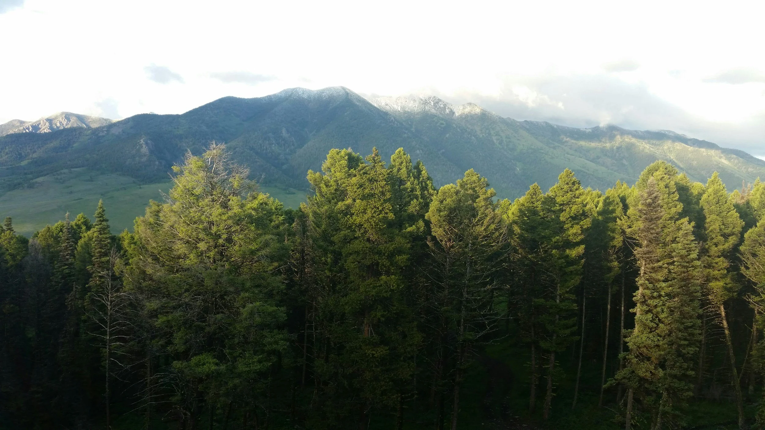 Anxiety Therapy in Rathdrum, ID: A Quiet Space to Feel Less Overwhelmed