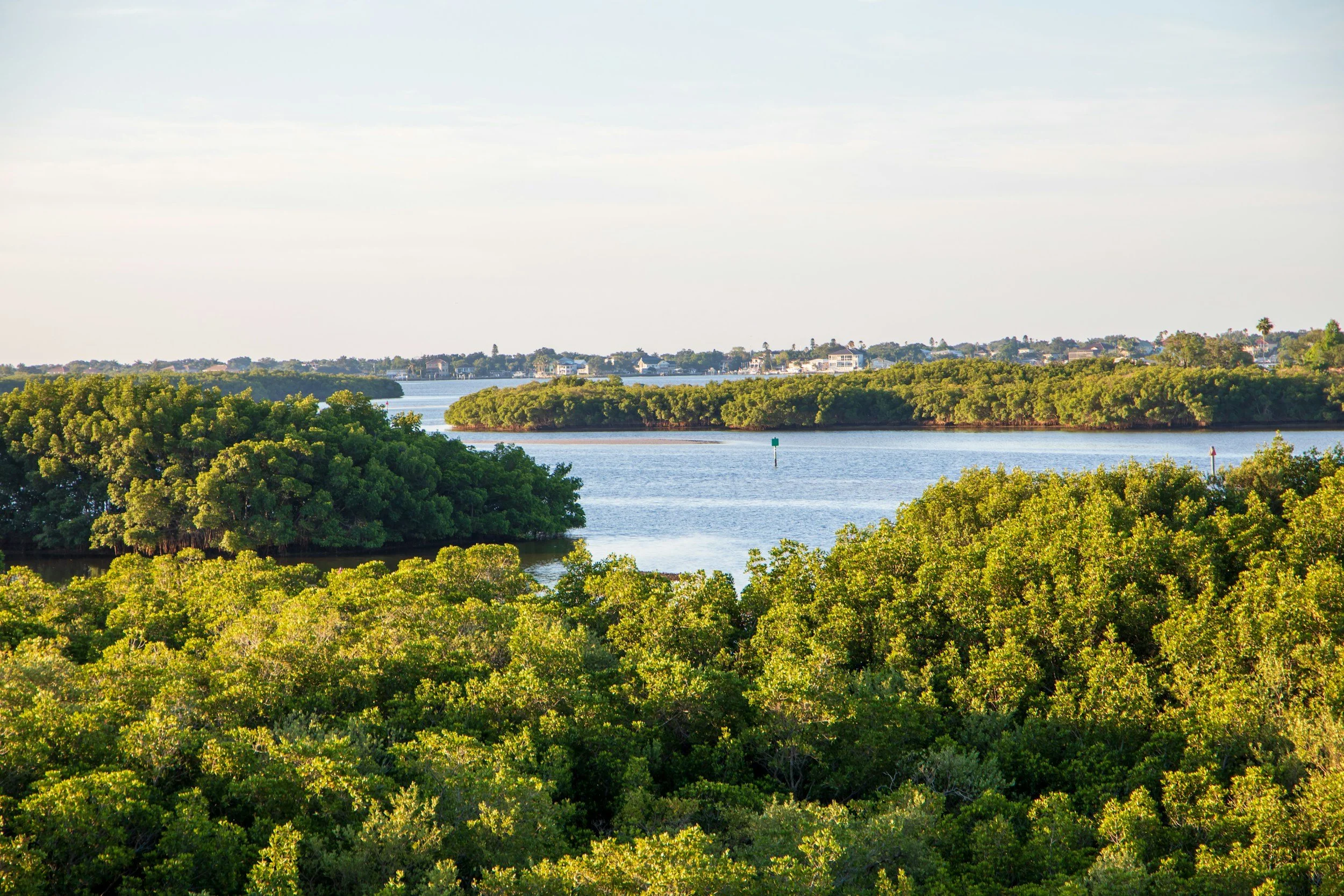 Aerial view of mangrove islands and waterways near St. Petersburg, Florida