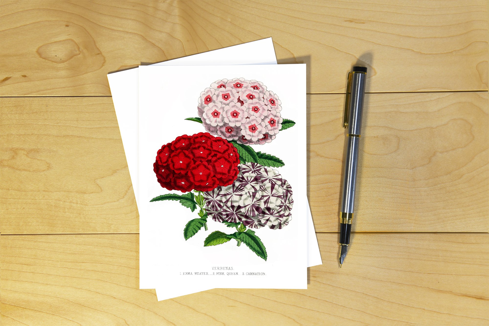 The Floral Magazine: Verbenas- TFM 011