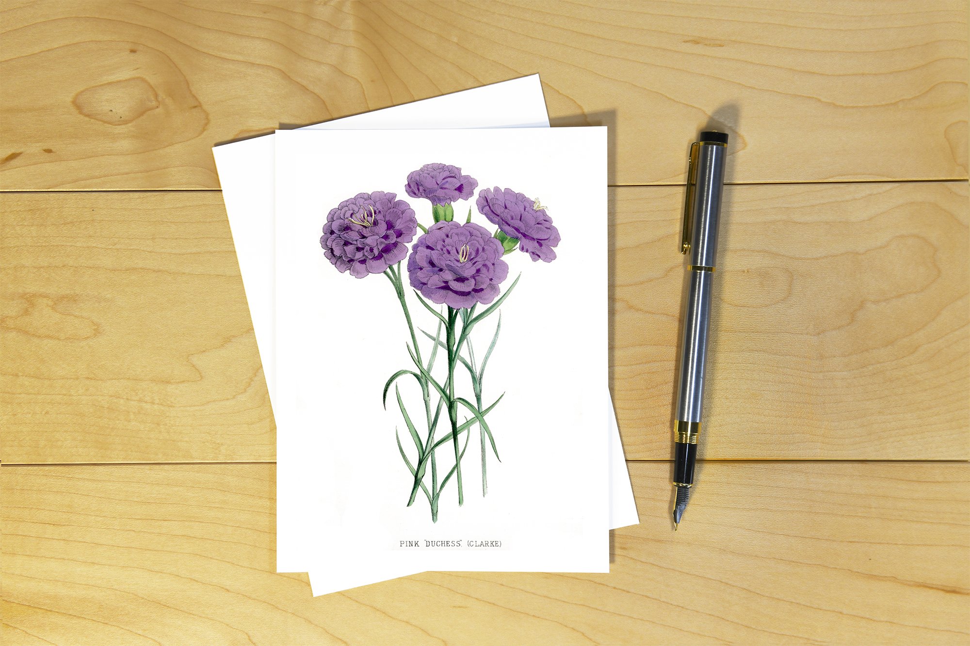 The Floral Magazine: Dianthus - TFM 015