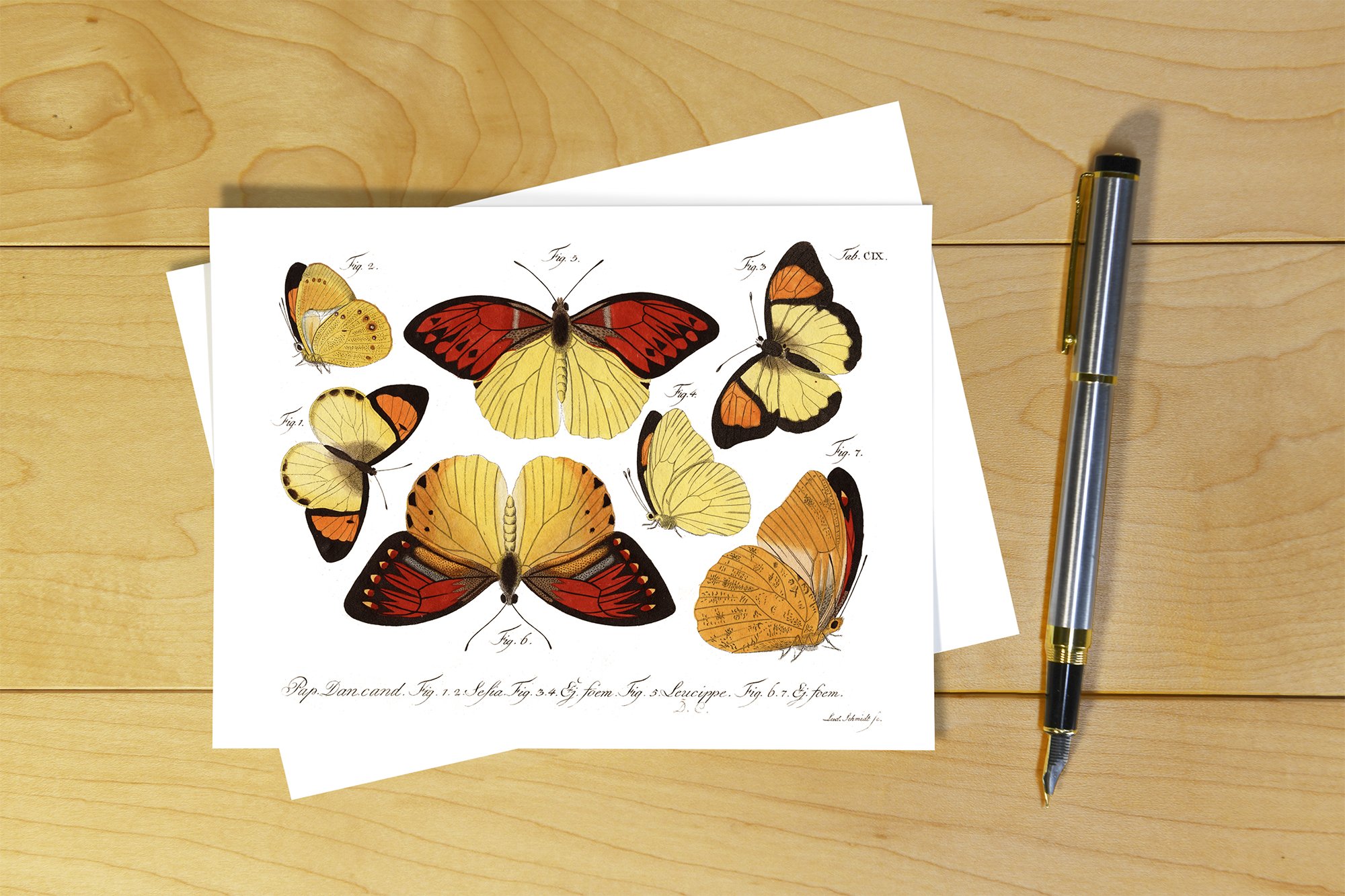 Jablonsky: Butterflies - CGJ 06