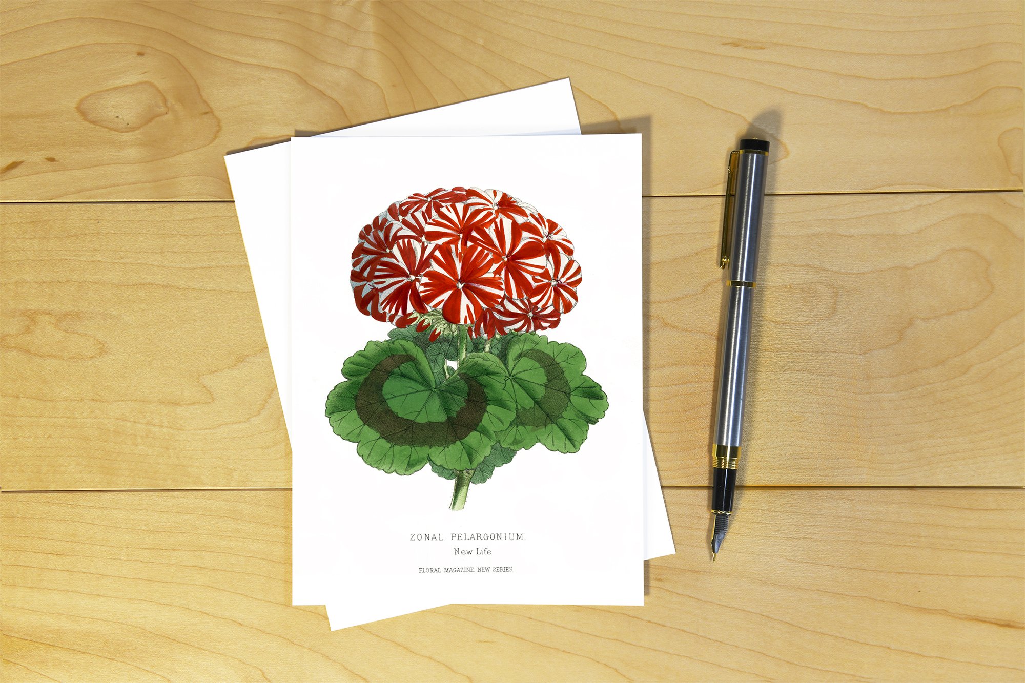 The Floral Magazine: Pelagonium - TFM 012