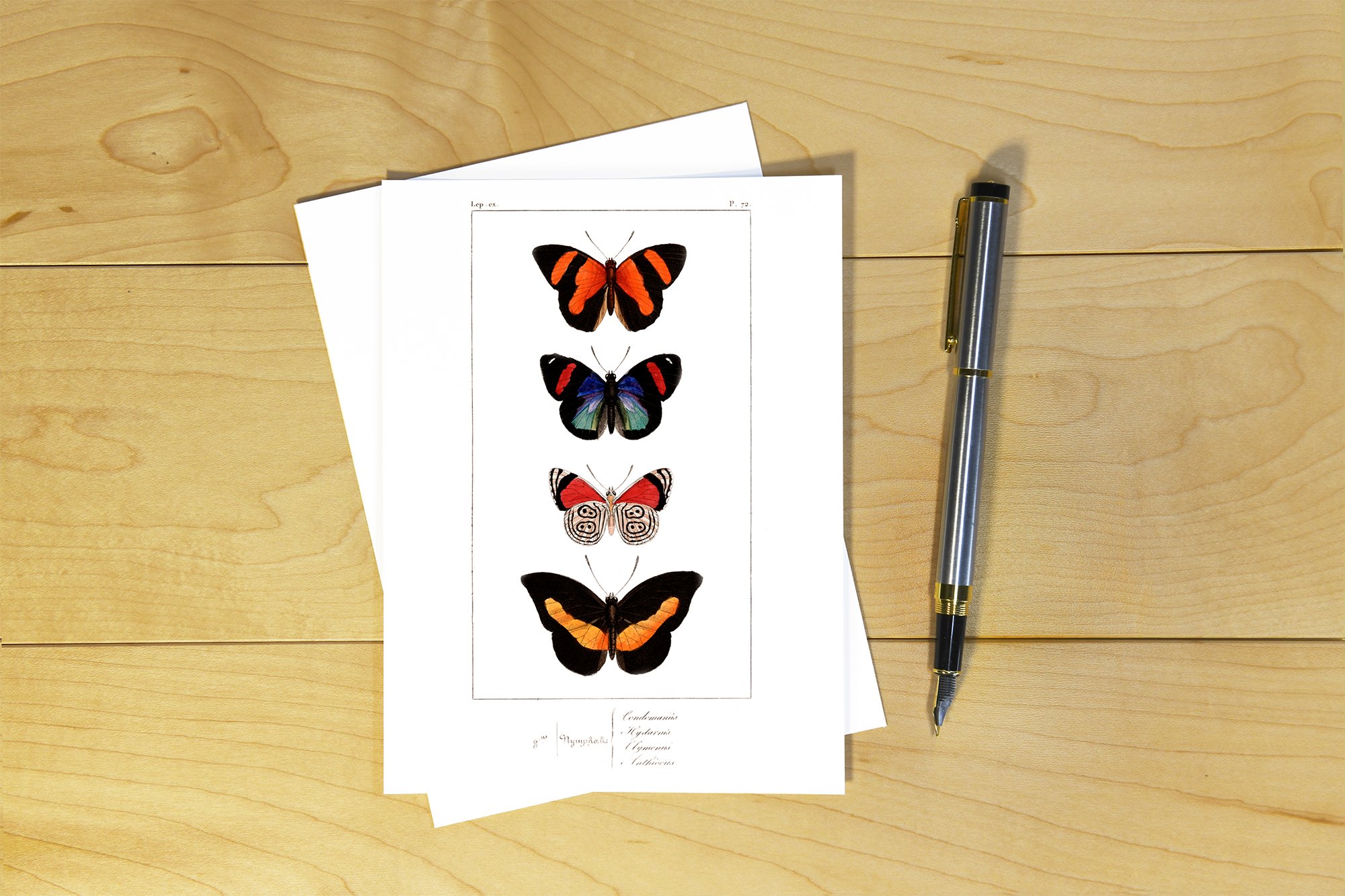 Lucas: Butterflies - HPL 05