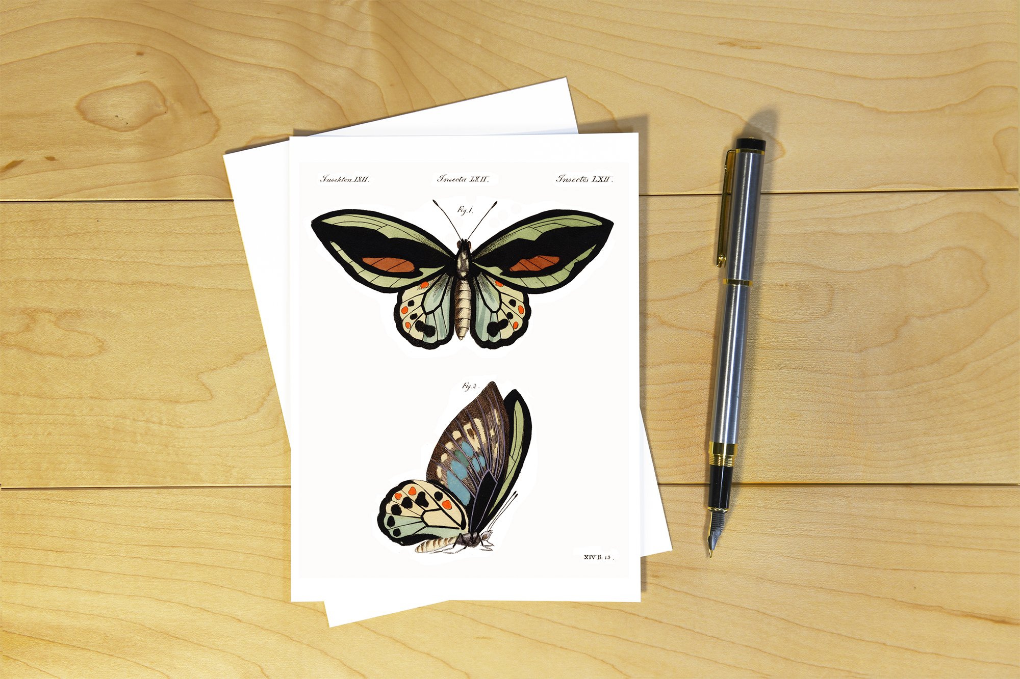 Friedrich Bertuch: Butterfly - FJB 04