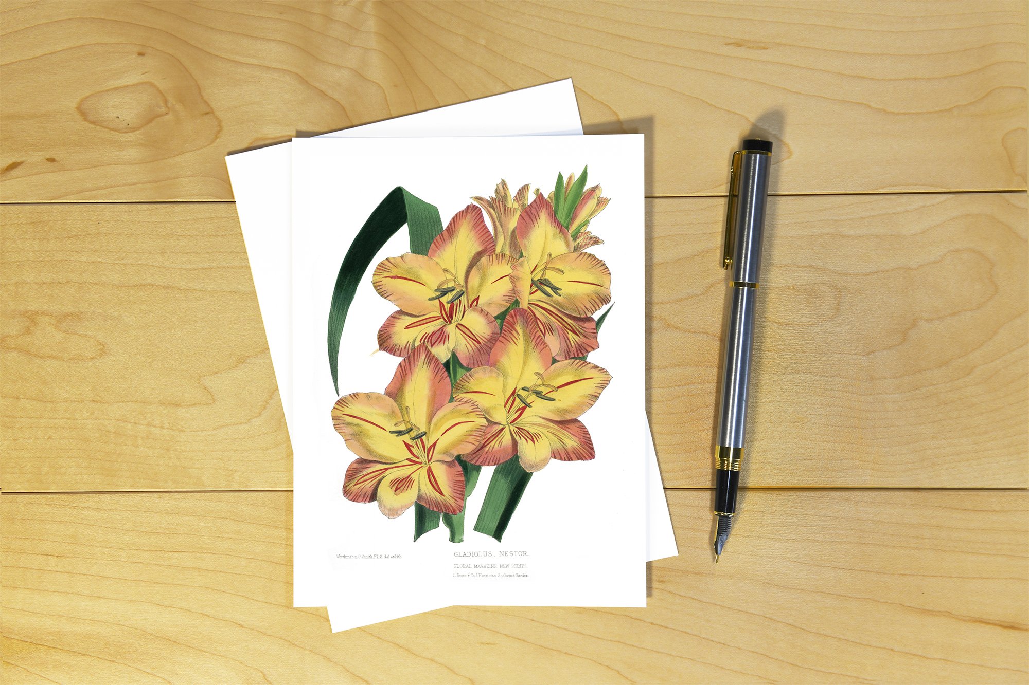The Floral Magazine: Gladiolas - TFM 013