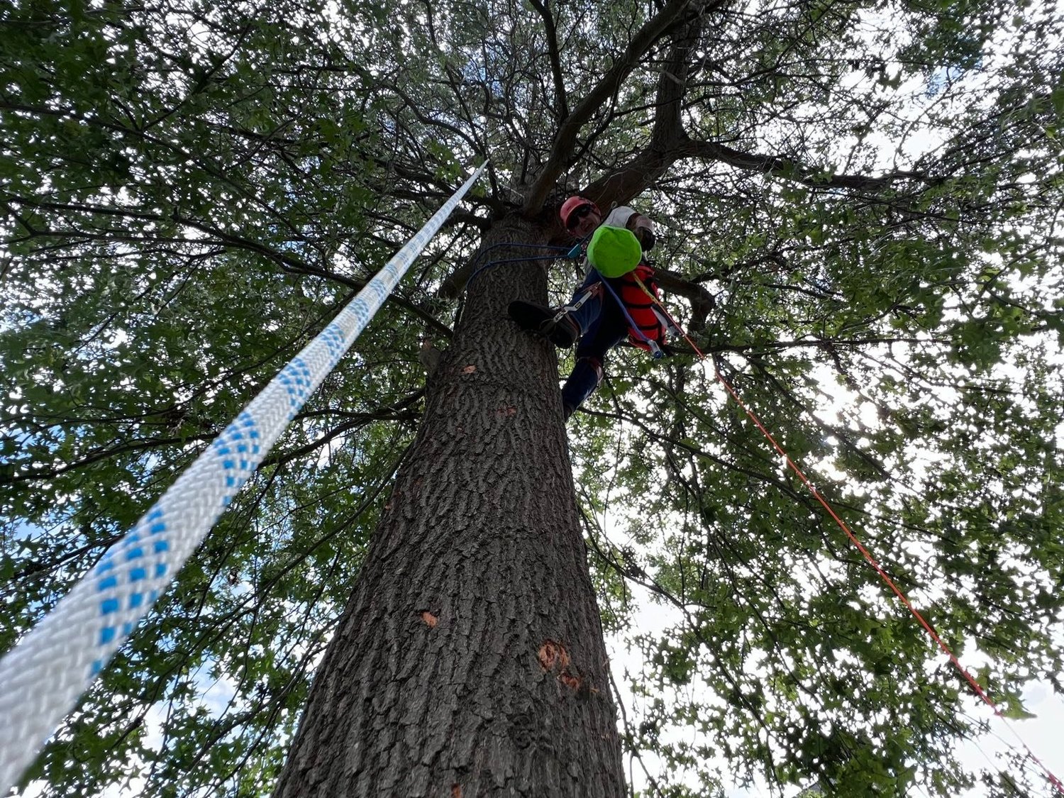 Freeworker Blog » The splice, the safe end of the tree climbing rope