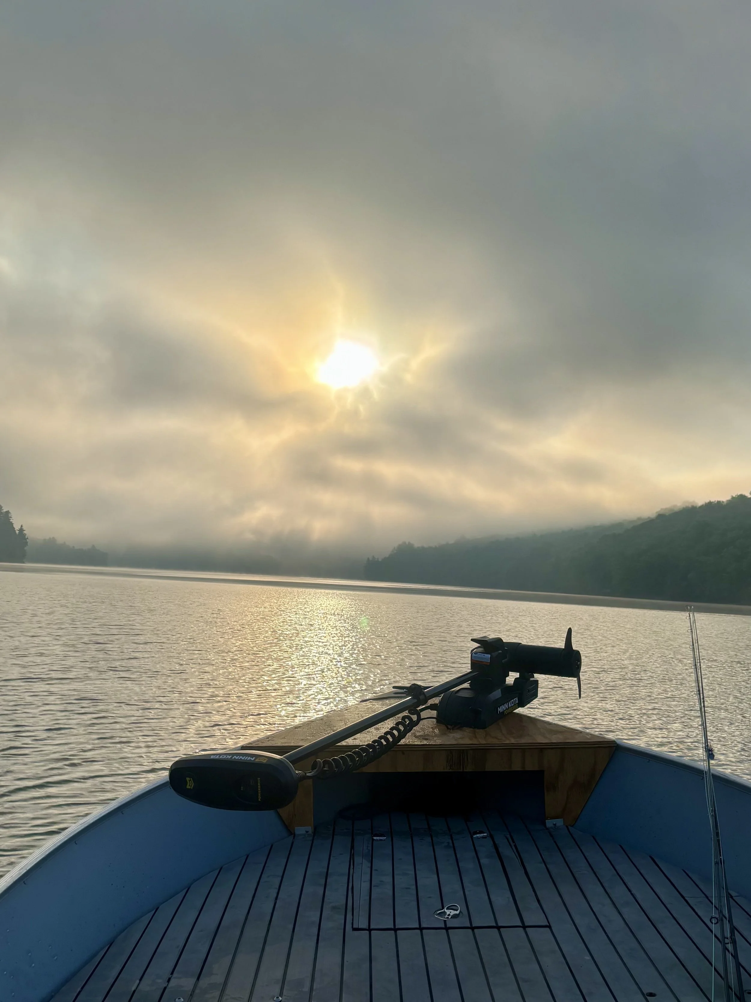 Bird Watch Trout Fishing Boat Casting Deck.jpg