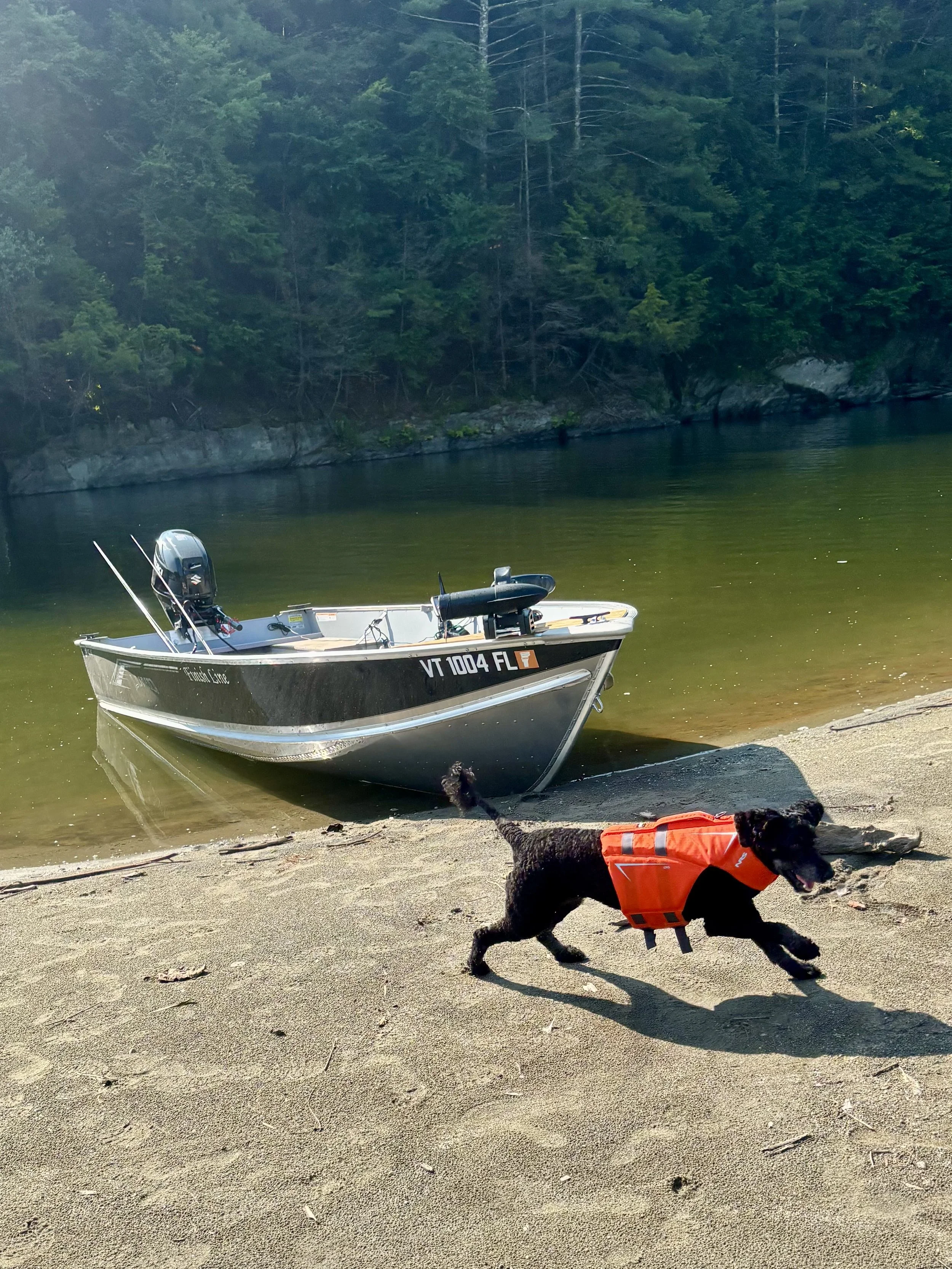 Waterbury Resevoir Remote Camping Dog Smallmouth Bass Fishing.jpg