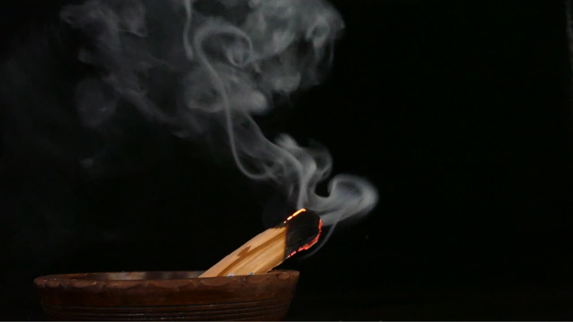 Palo Santo.png