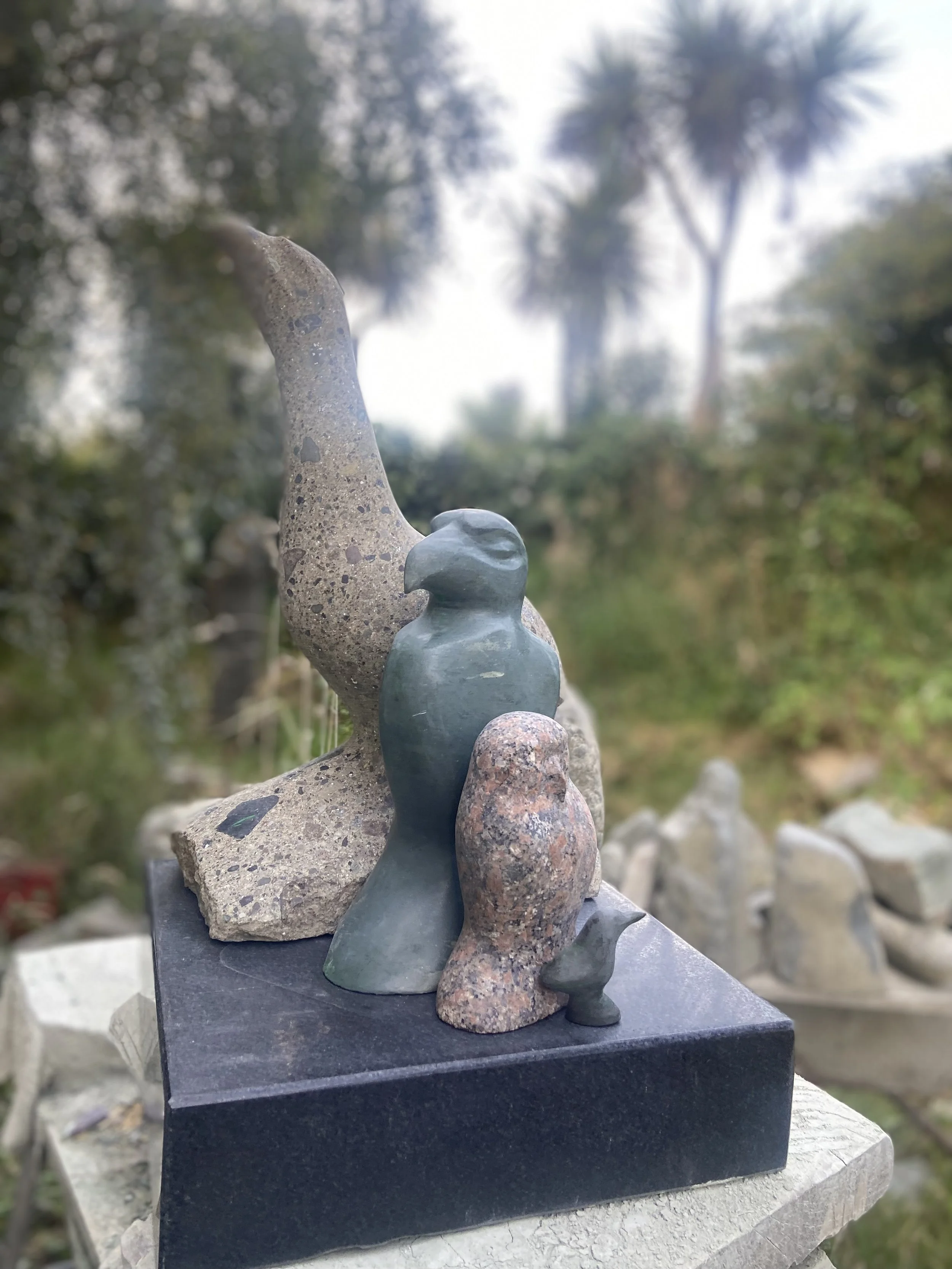 Moira crossman Artist - Dunedin