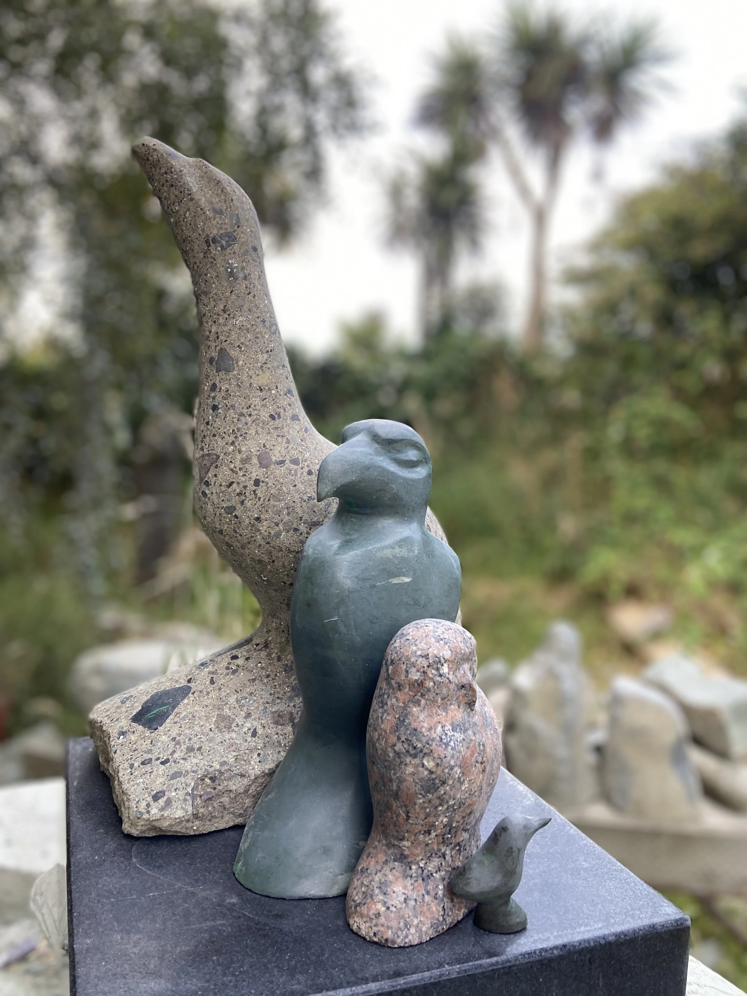 Moira crossman Artist - Dunedin