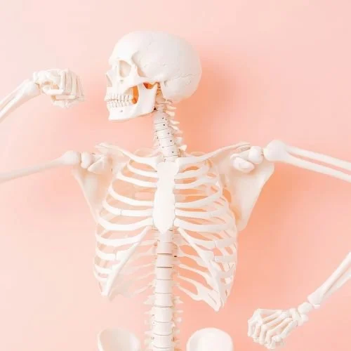Dietitian for bone health