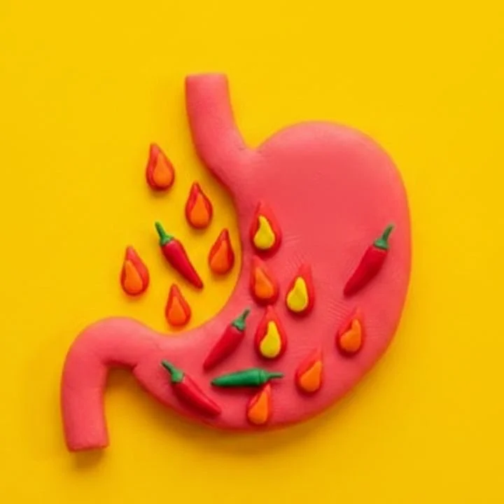 plasticine textured red stomach filled with chillis on a yellow background