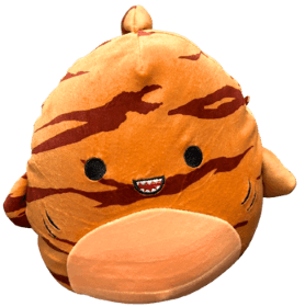 orange sharkmellow with brown stripes