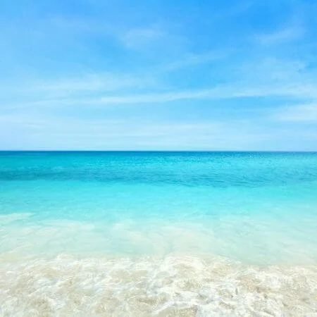 Gut Health Dietitian Near Me