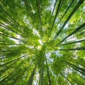 General Health Dietitian Near Me