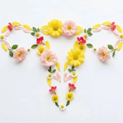 Dietitian for endometriosis
