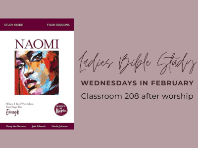 Ladies-  Book Study on Naomi