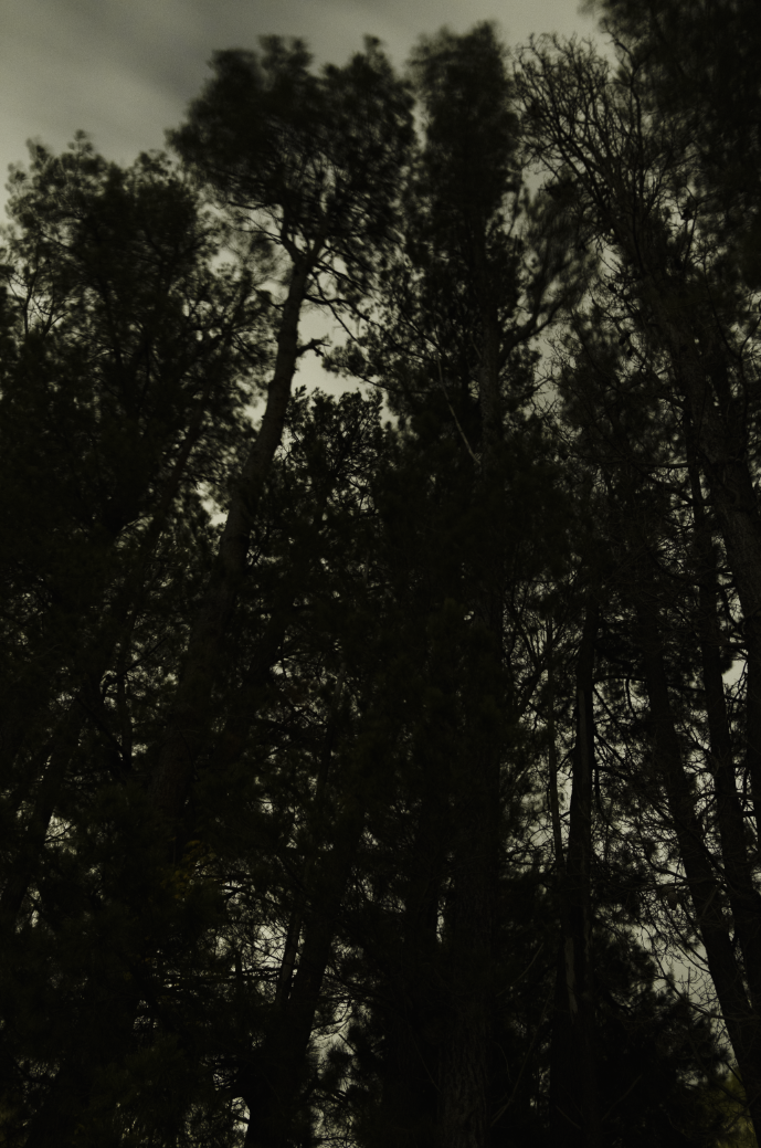 DSCF5341v2.png