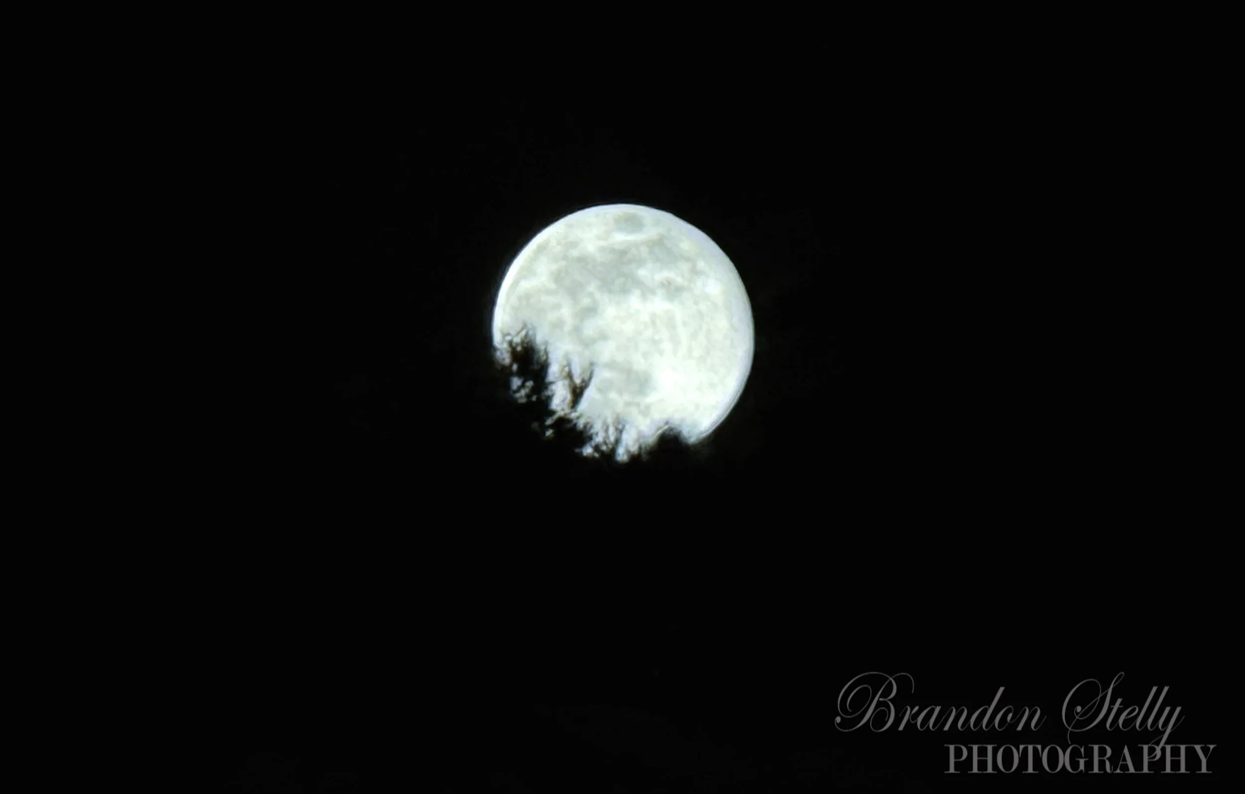 IMG_0825 copy.jpg