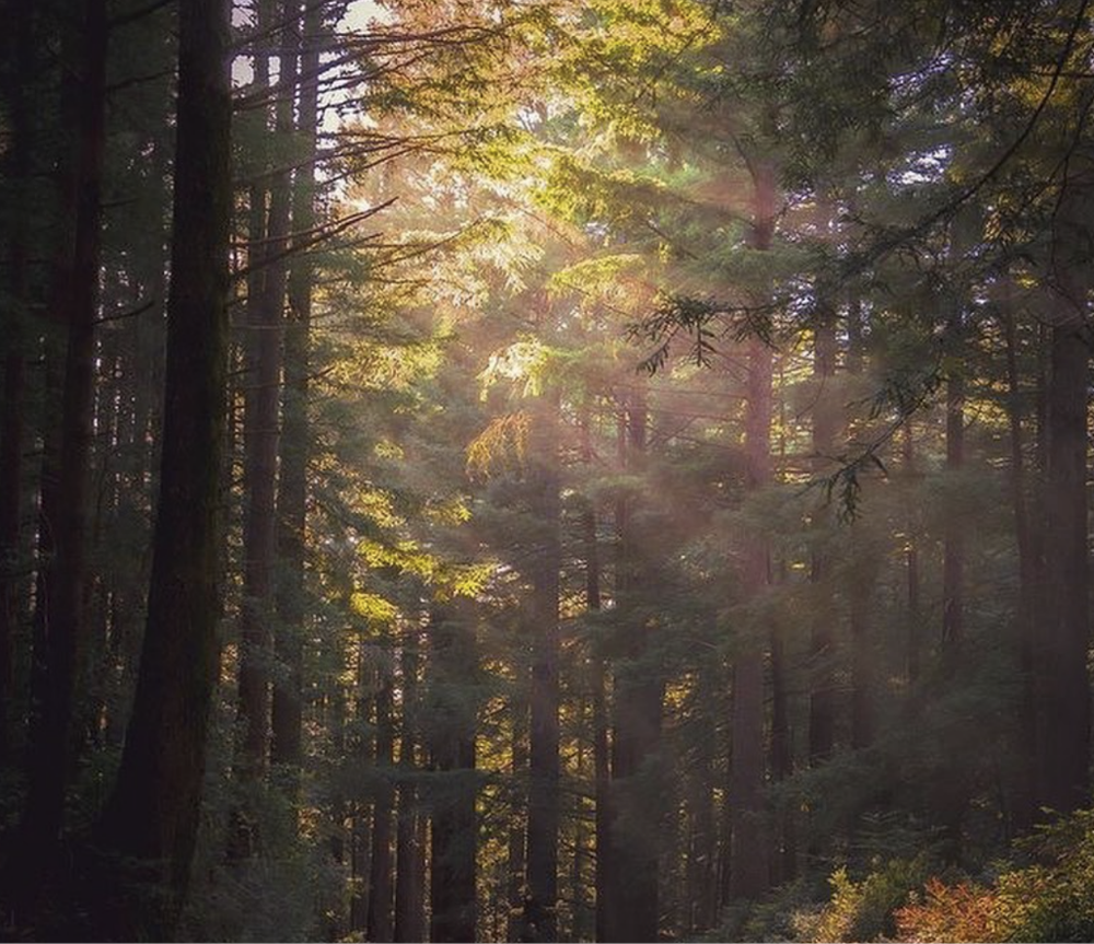 Visit 142 Throckmorton visit-142-throckmorton