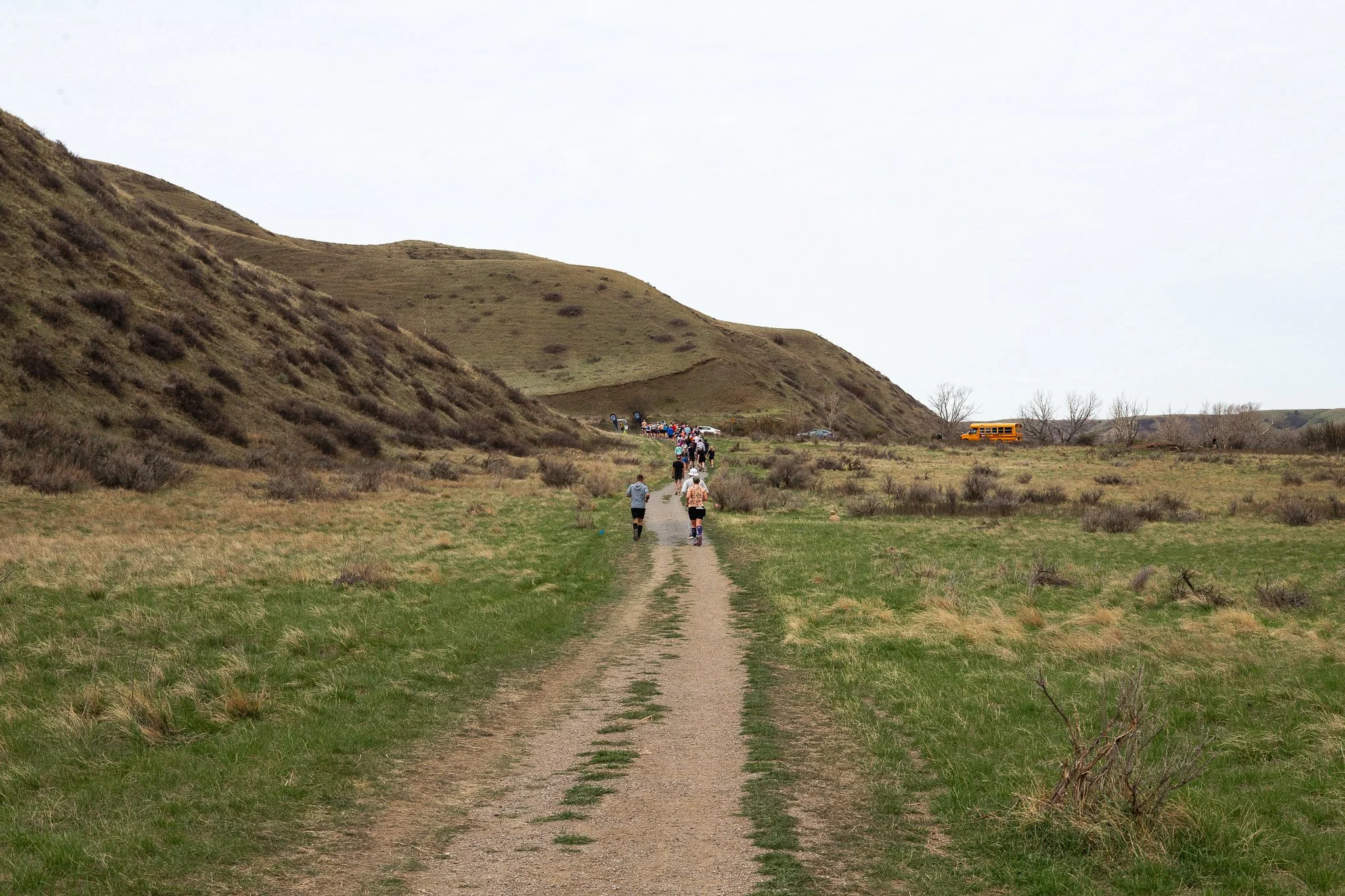 OLDMANBYU_MFTN_241_May2_2026.jpg
