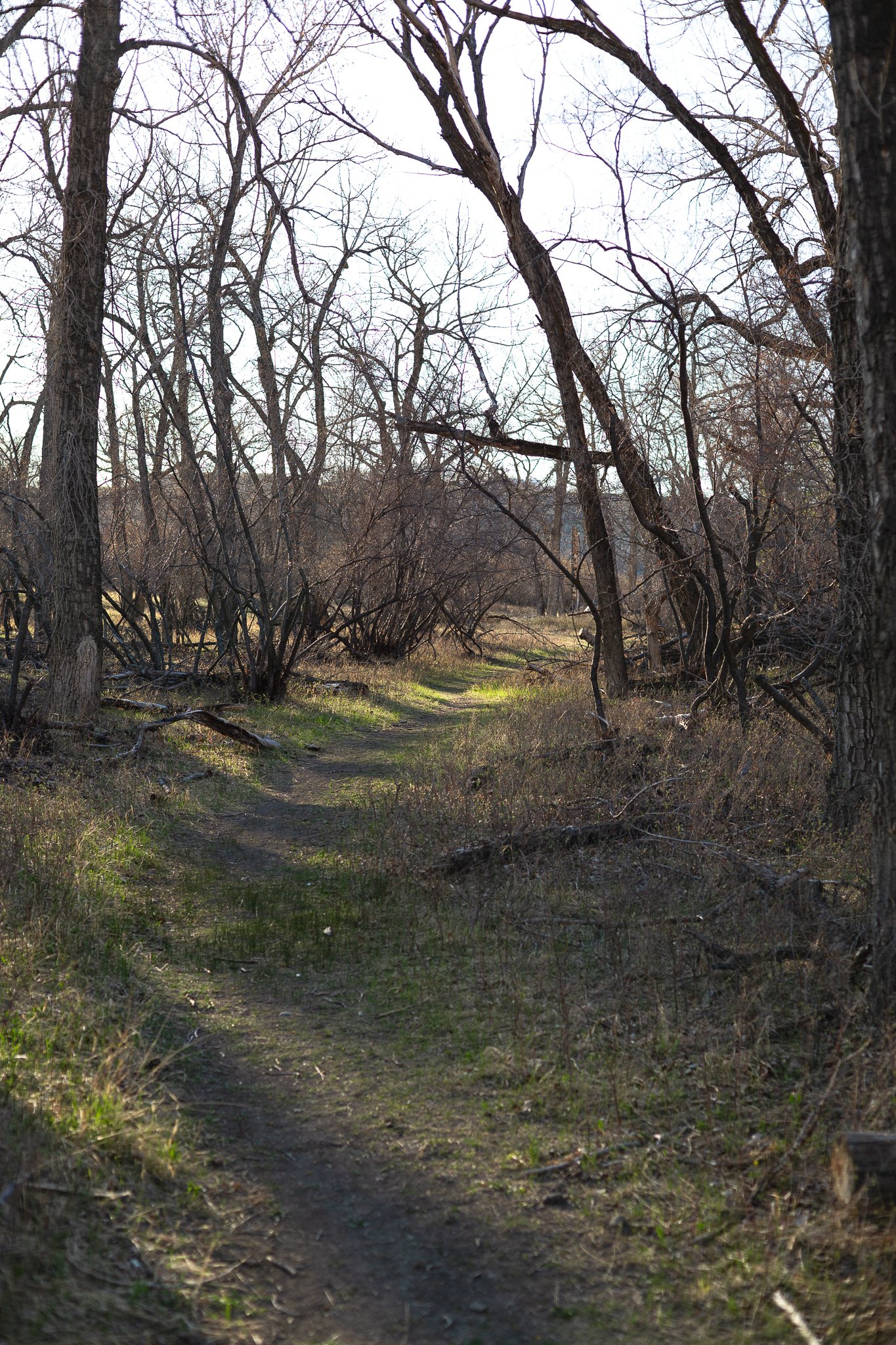 OLDMANBYU_MFTN_116_May2_2026.jpg