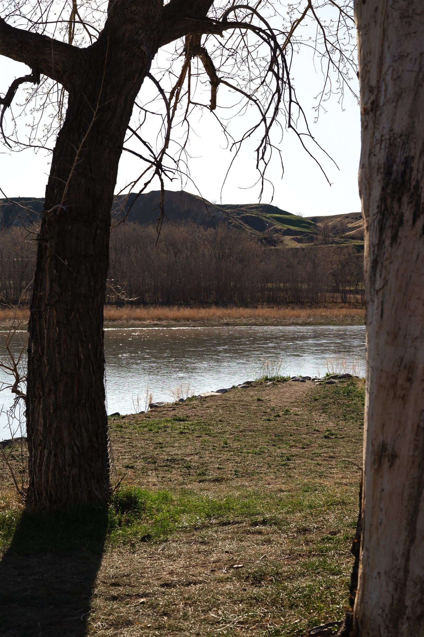 OLDMANBYU_MFTN_091_May2_2026.jpg