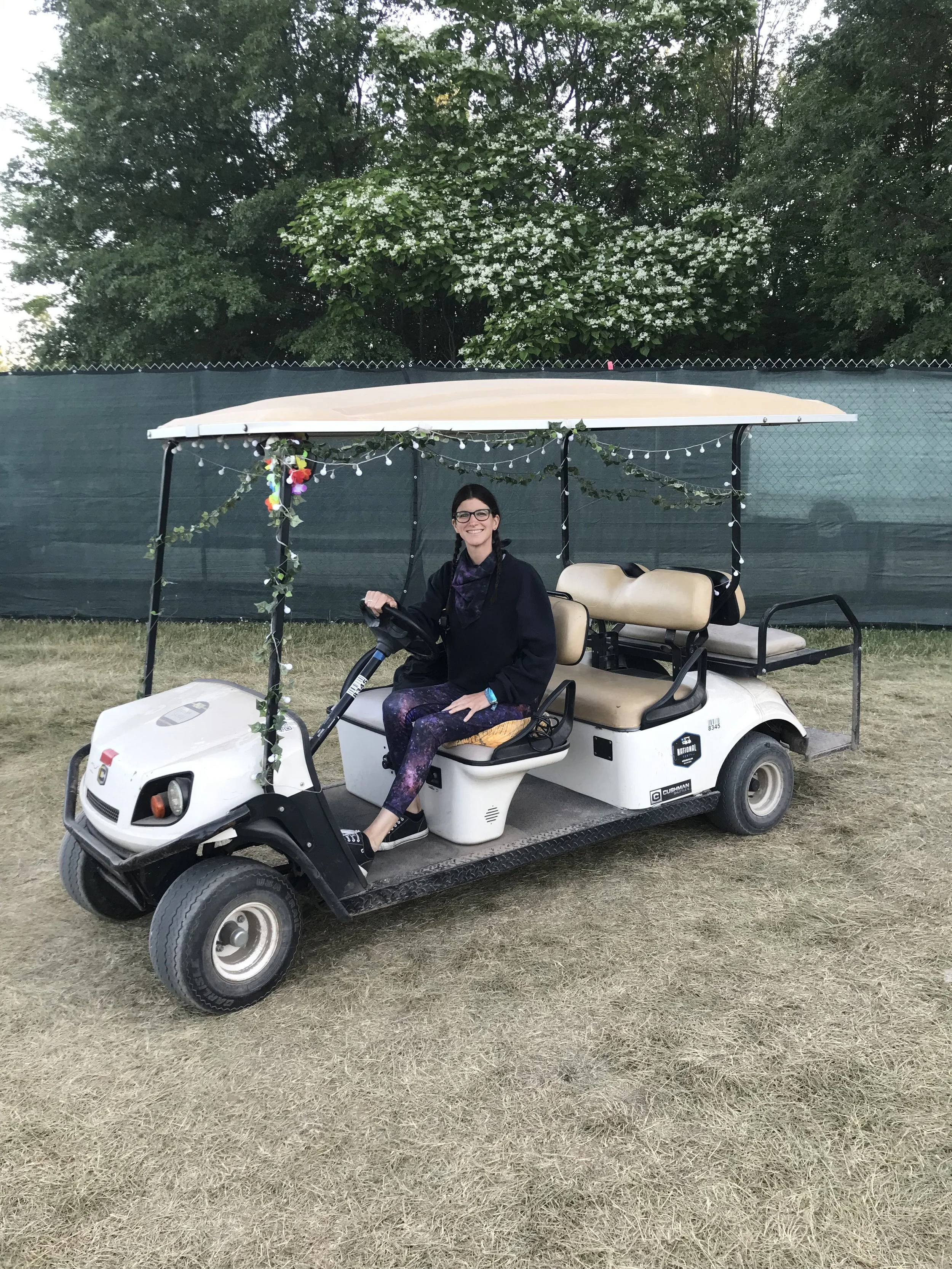 transpo carts.JPG