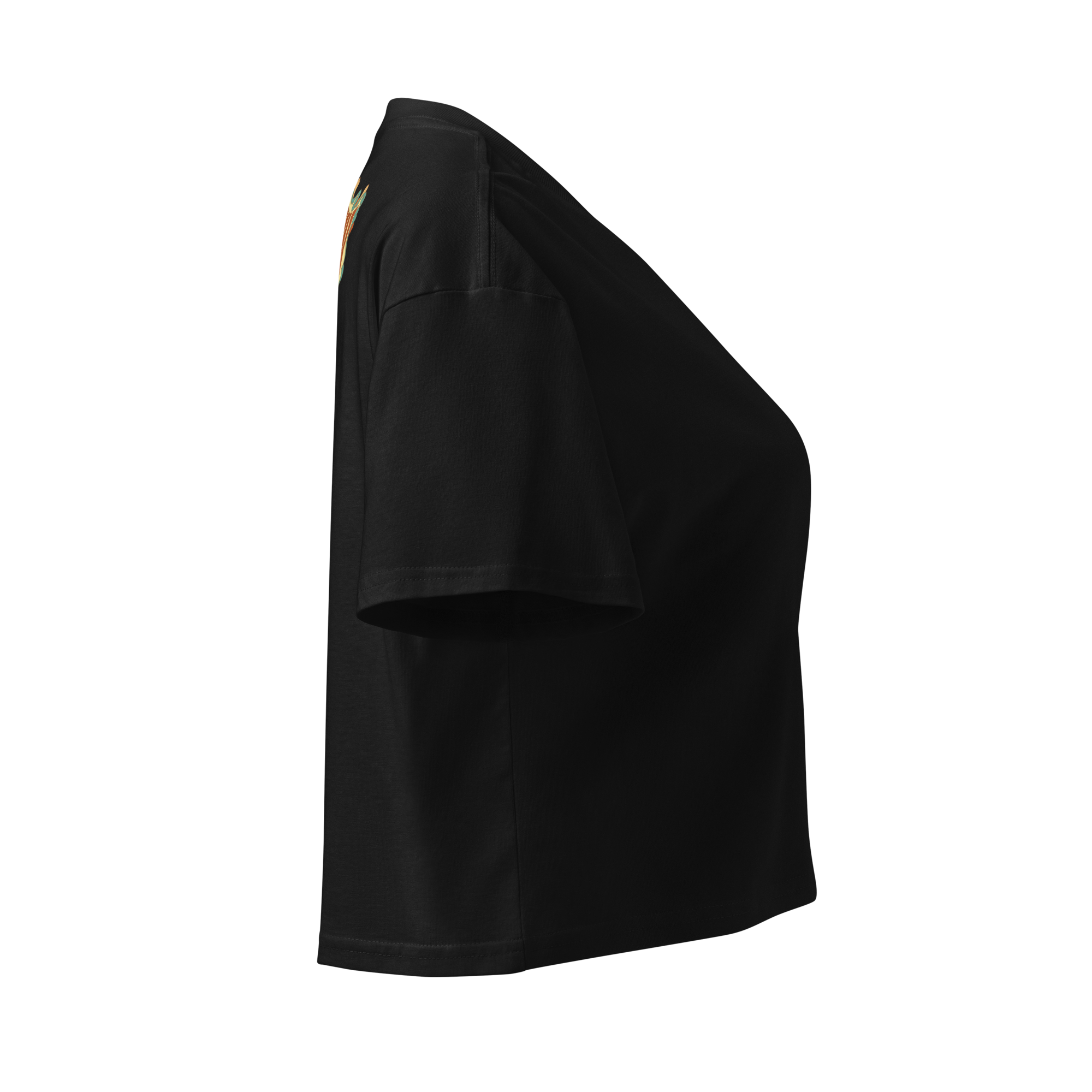 womens-crop-top-black-right-68d2f16e28580.png