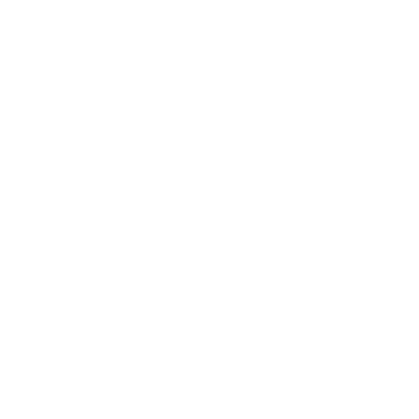 Logo_Bassford.png